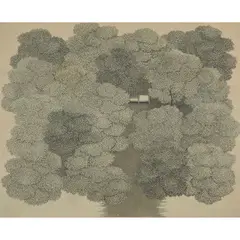 Tanaka Ryohei, Grove No. 2, 1966, etching, [approximate dimensions -