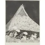 Tanaka Ryohei, Untitled (Japanese Pampas Grass), 2006, etching, [approximate dimensions -