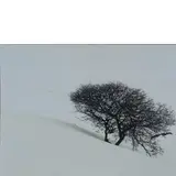 Abbas Gharib, 1942 / Snow White, 2012, Stampa digitale su carta fotografica