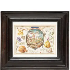 Joris Hoefnagel, Apollo e Dafne con cornice di fiori, frutti, insetti e una conchiglia (1598-1600 circa), tempera and oro on pergamena