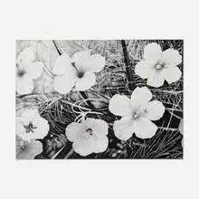 Stephen Bitterolf, Flowers 5, 2001, acrylic on canvas