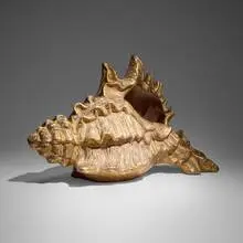 Regency Style, Conch centerpiece