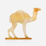 Daum, Camel