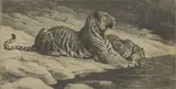Herbert Dicksee, Untitled, one drinking original printer’s proof etching on paper