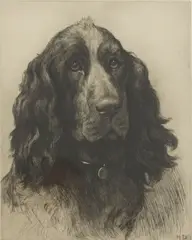 Untitled by Herbert Dicksee, full-face) original etching on paper, sold Oct 2020
