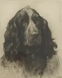 Herbert Dicksee, Untitled, full-face) original etching on paper