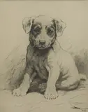 Herbert Dicksee, Untitled, Herbert Thomas Dicksee RE (1862-1842) A fox terrier pup original etching on vellum