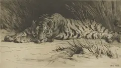 Untitled by Herbert Dicksee, Herbert Thomas Dicksee RE (1862-1942 ) 'In the Reeds' (Tiger) original etching on paper, sold Oct 2020