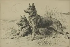 Untitled by Herbert Dicksee, Herbert Thomas Dicksee RE (1862-1942) ‘Alsatians’ original etching on paper, sold Oct 2020