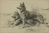 Herbert Dicksee, Untitled, Herbert Thomas Dicksee RE (1862-1942) ‘Alsatians’ original etching on paper