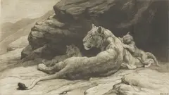 Untitled by Herbert Dicksee, (lioness and cubs) original etching on vellum, sold Oct 2020