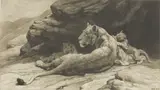 Herbert Dicksee, Untitled, (lioness and cubs) original etching on vellum