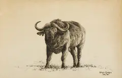 Simon Combes, Untitled, charcoal sheet 57.5 x 77cm