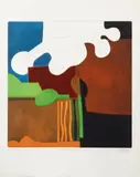 Bertrand Dorny, Septenfrion and Jardine, color, etching and aquatint