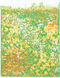 Prolific Garden, color by Renne Lieberman, lithograph, offered Mar 2020