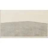 Jacques Hnizdovsky, "Grass,", 1971, woodcut, [approximate dimensions -