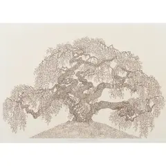 "Camperdown Elm," by Jacques Hnizdovsky, 1971, woodcut, [approximate dimensions -, offered Sep 2025