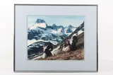 Untitled by Montana Big Horn Sheep, photograph, offered Apr 2022