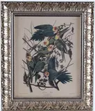 Untitled by J. Audubon, lithograph, offered Mar 2022