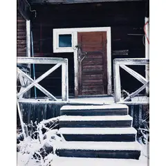 Esko Männikkö, Pudasjärvi, Finlandia 1959 / Organized freedom 4, 1999-00, C-Print