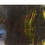 Antonio Pedretti, Gavirate 1950 / Grafia naturale