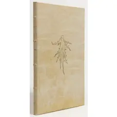 Montecchio Emilia 1954 / Finestre, 1991 by Omar Galliani, Libro di 12 incisioni a colori di Omar Galliani, offered Mar 2025