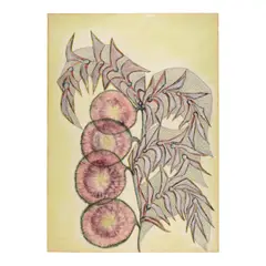 Anna Zemánková, Untitled, circa 1972, gouache, pastel, colored pencil and ballpoint pen on paper