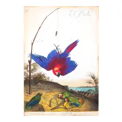Walton Ford, El Poeta, 2004, watercolor, gouache, graphite and ink on paper