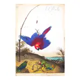 Walton Ford, El Poeta, 2004, watercolor, gouache, graphite and ink on paper