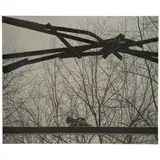Catherine Murphy, Mended Window, 1996, oil on canvas