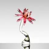 John Littleton and Kate Vogel, Aqua Flora 3-46