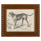 Filippo Palizzi, Vasto, 1818 - Napoli, 1899 / Ritratto di cane / Firmato F Palizzi in basso a sinistra, pencil on paper
