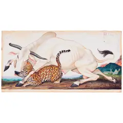 Walton Ford, Chingado, 1998, watercolor, gouache, graphite and ink on paper
