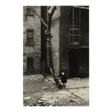 Helen Levitt, Untitled (Two Boys in Masks, One Climbing Tree)
