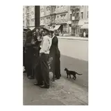 Helen Levitt, Untitled (Men with Black Cat, New York City)