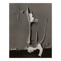 Minor White, Peeled Paint, Rochester, 1959, Gelatin silver print, likely printed before 1965; the photographer's '72 N. Union, Rochester 7' credit stamp on the reverse