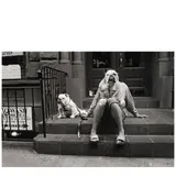Elliott Erwitt, 'New York City' (Bulldogs)