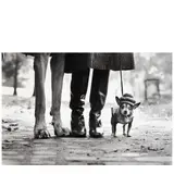 Elliott Erwitt, 'New York City' (Felix, Gladys, and Rover)