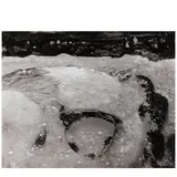 Minor White, Pebble Beach, Point Lobos State Park, California, August 16, 1951