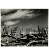 Edward Weston, Las Lomas Rancho, Coast Range, Sonoma, 1937, Gelatin silver print