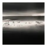 Michael Kenna, 'Sea Stones, Monterey, California, U.S.A.'