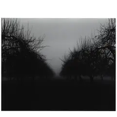 Clifford Ross, North Salem II, 1995, Gelatin silver print; flush-mounted to board