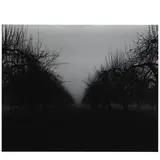 Clifford Ross, North Salem II, 1995, Gelatin silver print; flush-mounted to board
