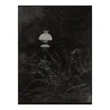 Josef Sudek, Remembrances (The Coming of Evening), 1963, Gelatin silver print; 'original' written in the negative