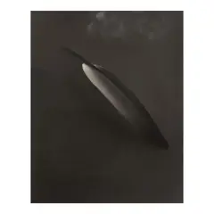 Feather and Bowl by Josef Sudek, c. 1972, Gelatin silver contact print; with '22' [circled] in pencil on the reverse, sold Oct 2025