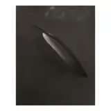 Josef Sudek, Feather and Bowl, c. 1972, Gelatin silver contact print; with '22' [circled] in pencil on the reverse