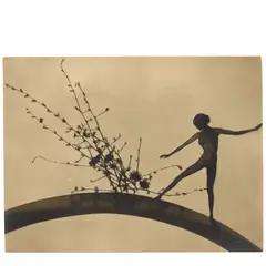 Montage with Cut-Out Nude Figure and Flowers by František Drtikol, c. 1930, Gelatin silver print; framed, sold Oct 2025