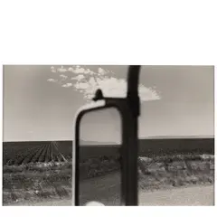 'Idaho' by Lee Friedlander, 1972, Gelatin silver print, sold Oct 2025