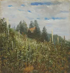 Carl Gustav Carus, Frühsommerlicher Weinberg in Pillnitz, Um 1830, Öl auf leichtem Karton
