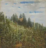 Carl Gustav Carus, Frühsommerlicher Weinberg in Pillnitz, Um 1830, Öl auf leichtem Karton